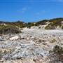 Abrolhos Islands - East Wallabi