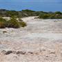 Abrolhos Islands - East Wallabi