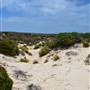Abrolhos Islands - East Wallabi