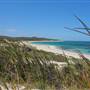 Garden Island - Gilbert Point - from land