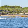 Garden Island - Collins Point - from water