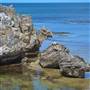 Garden Island - Point Atwick - North and South Bay from land