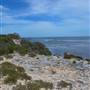 Garden Island - Point Atwick - North and South Bay from land