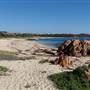 Gracetown