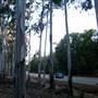 Boddington Shire