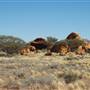 Mount Magnet landscapes