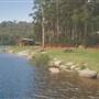 RAC Karri Valley Resort