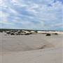 Lancelin