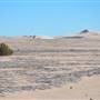 Lancelin