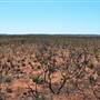 Port Hedland - Road heading north