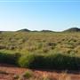 Whim Creek, Pilbara