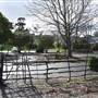 Albany - Strawberry Hill Farm