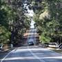 Denmark/Albany Forest Roads