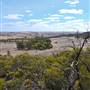 Chapman Valley
