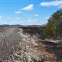 Chapman Valley