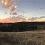 Nannup - Xmas Brook Farm