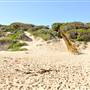 Injidup Beach & Cape Clairault