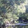 Wellington National Park