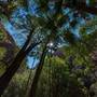 El Questro - Zebedee Springs