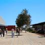 Geraldton University & TAFE