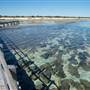 Shark Bay