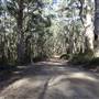 Shelley Beach & surrounds - West Cape Howe National Pk