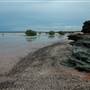 Broome - Roebuck Bay coast