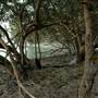 Broome - Roebuck Bay coast