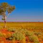 Canning Stock Route Midwest to the Kimberley
