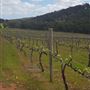 Drakesbrook Fine Wines Winery