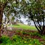 Little Hill Farm Bridgetown