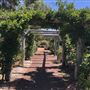 Dwellingup