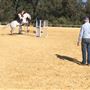 State Equestrian Centre