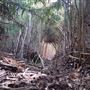Karrinyup Wetlands