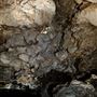 Mammoth Cave
