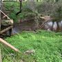 Fairbridge Village, Pinjarra