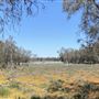 Dead Man's Swamp Nature Reserve