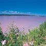 Pink Lake - Hutt Lagoon