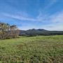Craigendarroch, Porongurup