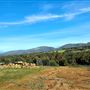 Craigendarroch, Porongurup