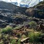 Lesmurdie Falls