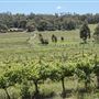Bickley-Carmel Valley