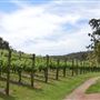 Bickley-Carmel Valley
