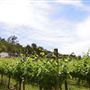 Bickley-Carmel Valley