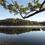 RAC Karri Valley Resort
