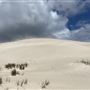 Lancelin