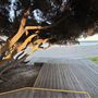 Cottesloe Beach