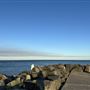 Cottesloe Beach