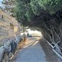 Cottesloe Beach