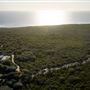 Cape Naturaliste Lighthouse